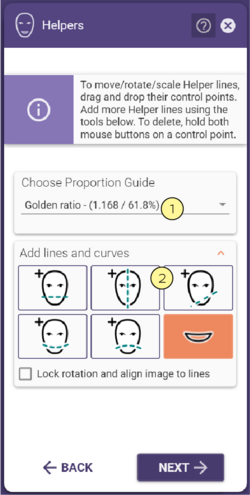 Edit guidelines and curves.png