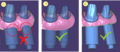 Thumbnail for version as of 14:22, 31 May 2022