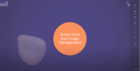 Screenshot and Image Management
