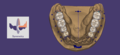 Thumbnail for version as of 11:12, 31 May 2021