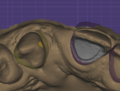 Thumbnail for version as of 03:30, 28 October 2020