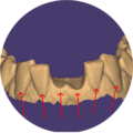 Thumbnail for version as of 09:34, 5 January 2022