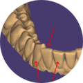 Thumbnail for version as of 09:33, 5 January 2022