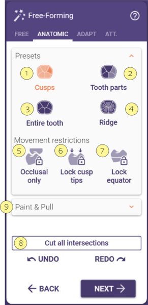 File:Galway FreeForming Anatomic.png