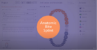 Watch our training video section about Anatomic Bite Splint