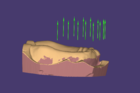 Design Denture Base Bottom