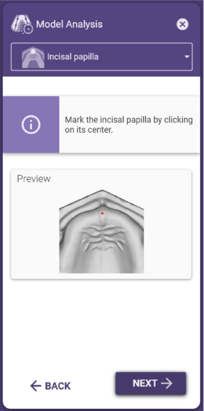 File:Model analysis incisal papilla.png