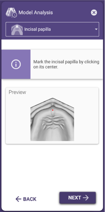 Model analysis incisal papilla.png