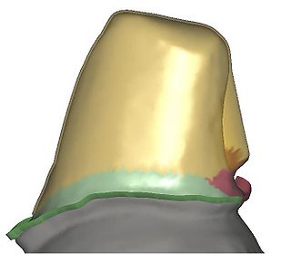 Dcad 05.jpg