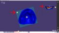 Thumbnail for version as of 14:18, 17 November 2021